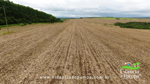 DOS EÓLICOS VIRA P FAZENDA_Moment.00_00_06_05.Quadro131_afc8ad574af982ffdaed2c5ad1fa76cd57a4711a.jpg